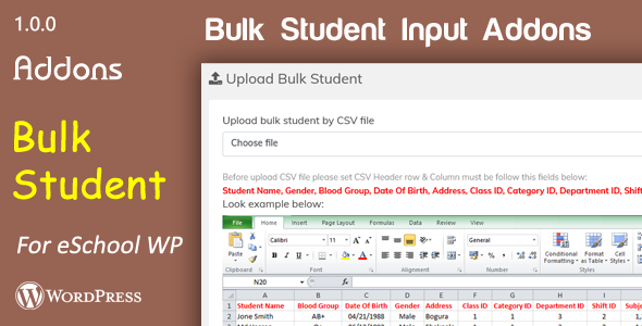 Bulk Student Input addons for eSchool WP